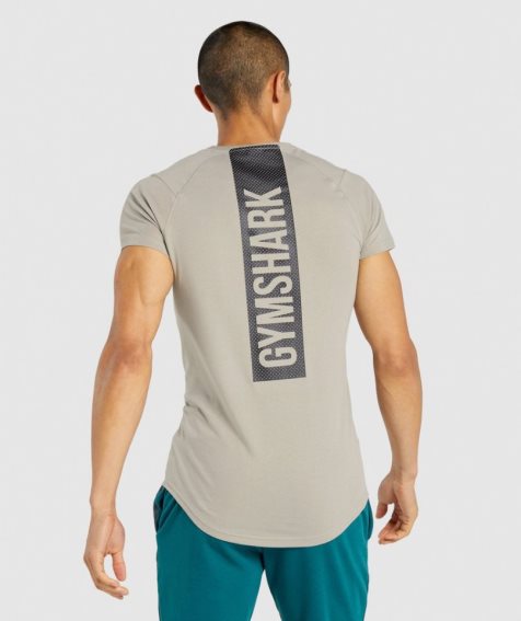Gymshark Bold Férfi Póló Szürke | HU-Q-597