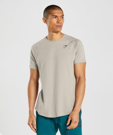Gymshark Bold Férfi Póló Szürke | HU-Y-170