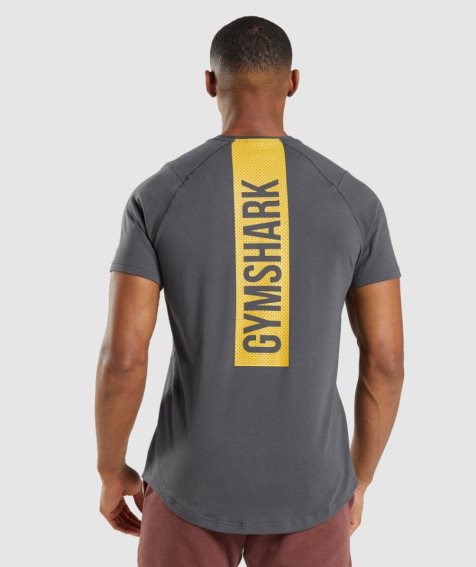 Gymshark Bold Férfi Póló Sötétszürke | HU-V-875