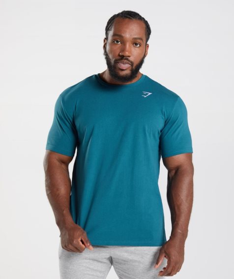 Gymshark Crest Férfi Póló Türkiz | HU-M-139