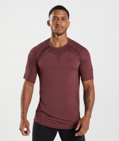 Gymshark Form Férfi Póló Barna | HU-L-573