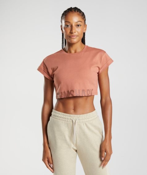 Gymshark Fraction Női Vágott Felsők Barna | HU-S-195