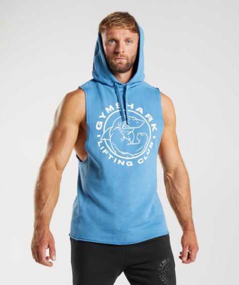 Gymshark Legacy Drop Arm Férfi Kapucnis Pulóver Kék | HU-N-204