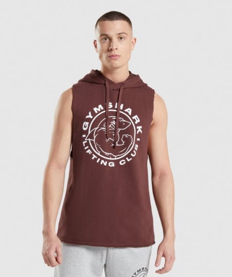 Gymshark Legacy Drop Arm Férfi Kapucnis Pulóver Barna | HU-P-780