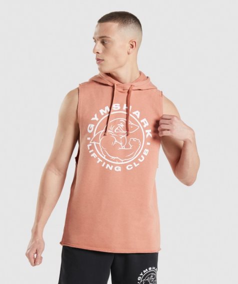 Gymshark Legacy Drop Arm Férfi Kapucnis Pulóver Rózsaszín | HU-P-905