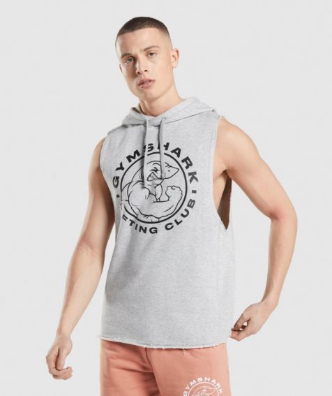 Gymshark Legacy Drop Arm Férfi Kapucnis Pulóver Világos Szürke | HU-Y-697