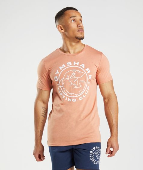Gymshark Legacy Férfi Póló Narancssárga | HU-C-680