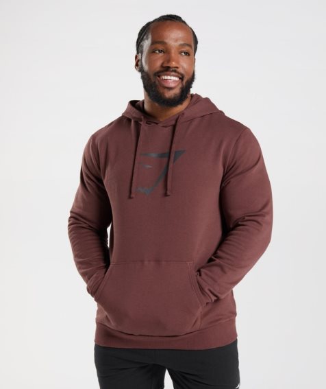 Gymshark Sharkhead Infill Férfi Kapucnis Pulóver Barna | HU-H-871