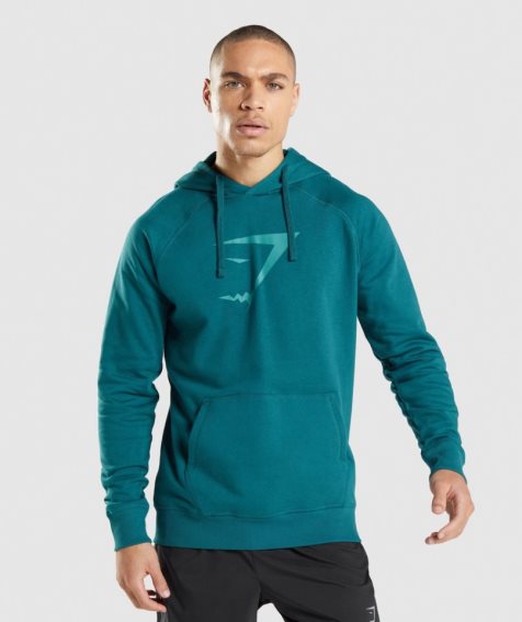 Gymshark Sharkhead Infill Férfi Kapucnis Pulóver Türkiz | HU-V-765