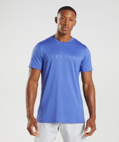 Gymshark Sport Stripe Férfi Póló Kék | HU-T-693