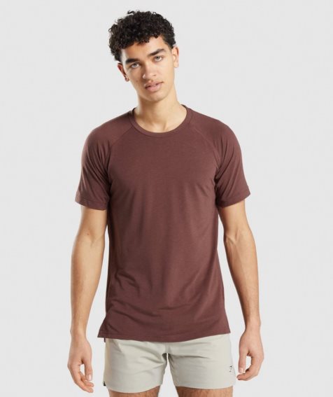 Gymshark Studio Amplify Férfi Póló Barna | HU-D-189