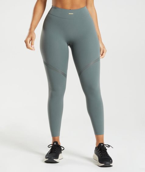 Gymshark Whitney Mesh Női Leggings Szürke | HU-V-621