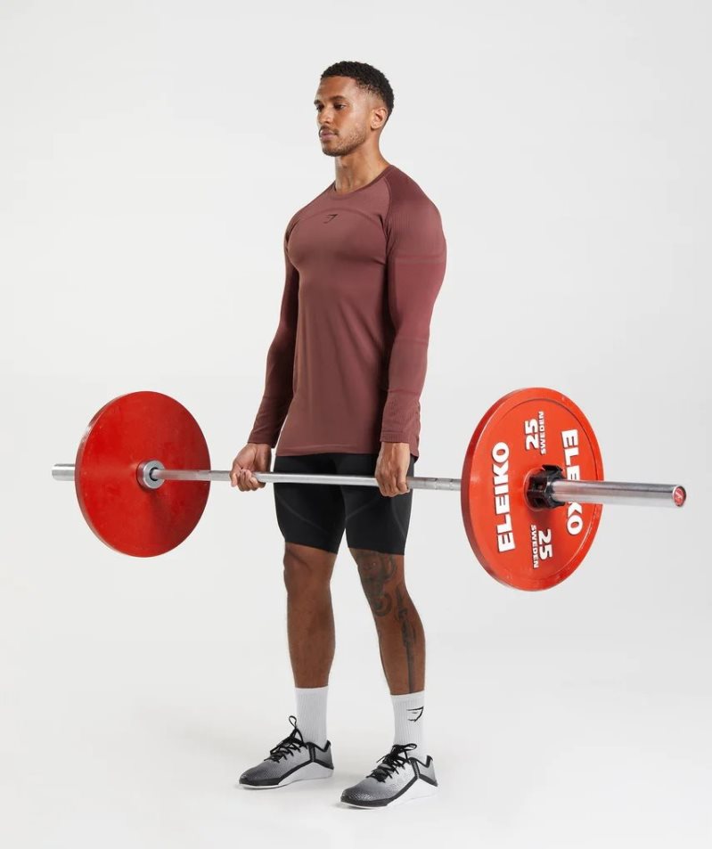 Gymshark 315 Long Sleeve Férfi Póló Barna | HU-J-682