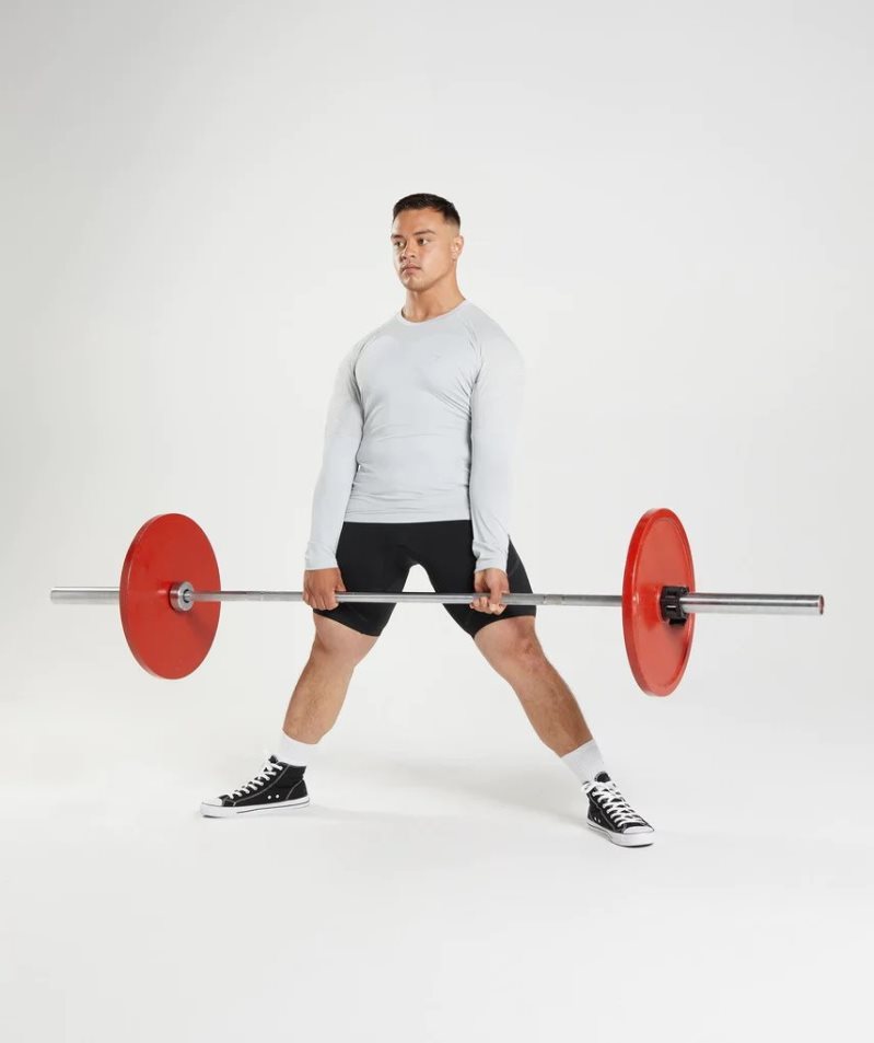 Gymshark 315 Long Sleeve Férfi Póló Világos Szürke | HU-B-258