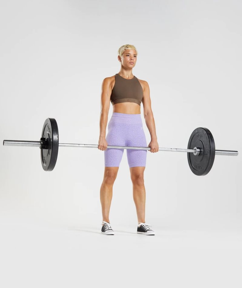 Gymshark 315 Performance High Neck Női Sportmelltartó Sötétbarna | HU-M-061