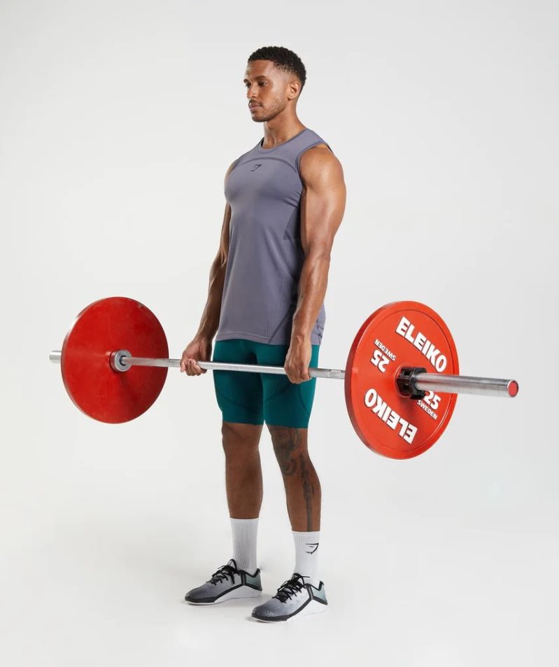 Gymshark 315 Seamless Férfi Ujjatlan Póló Lila | HU-S-924