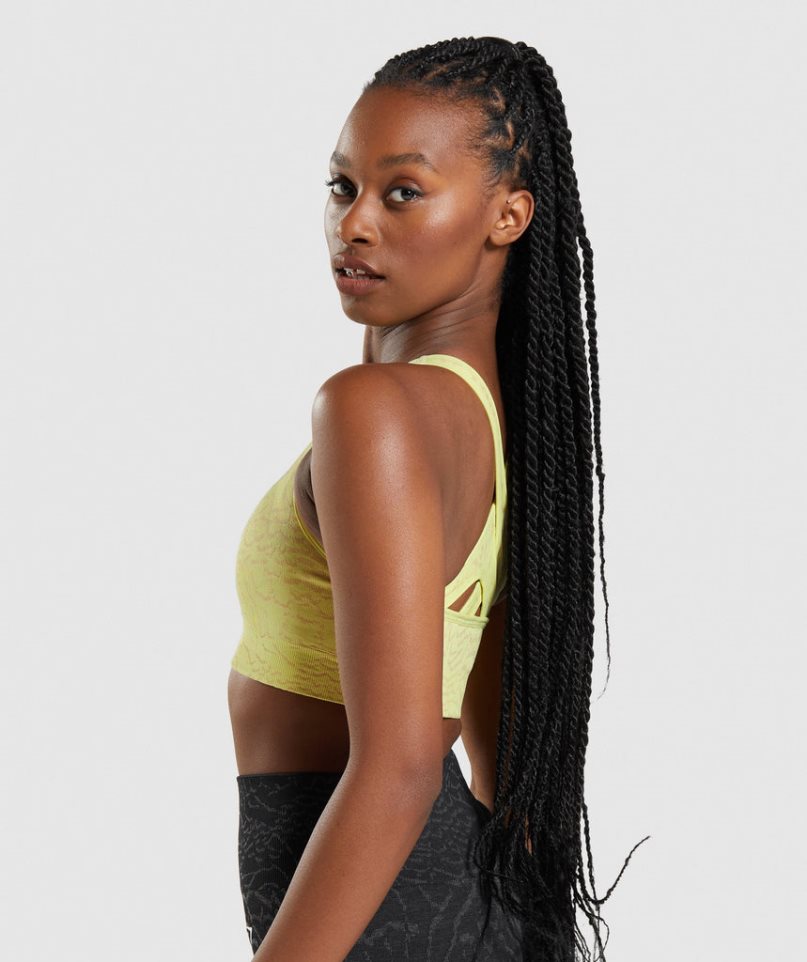 Gymshark Adapt Animal Seamless Női Sportmelltartó Sárga | HU-C-408