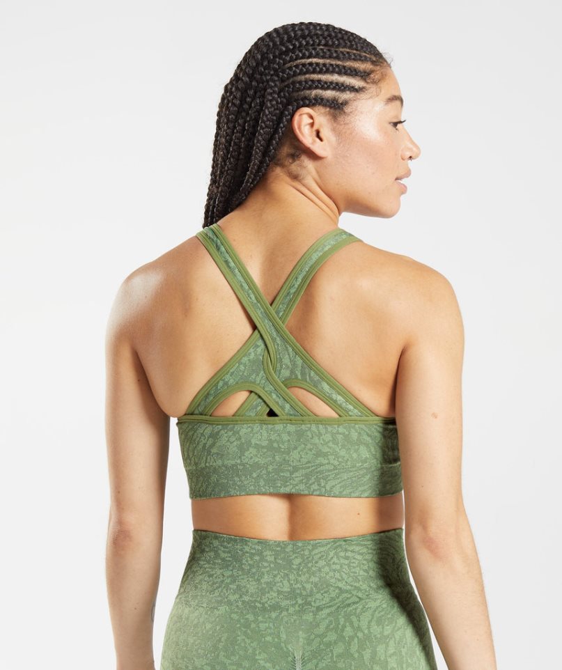 Gymshark Adapt Animal Seamless Női Sportmelltartó Zöld | HU-T-140