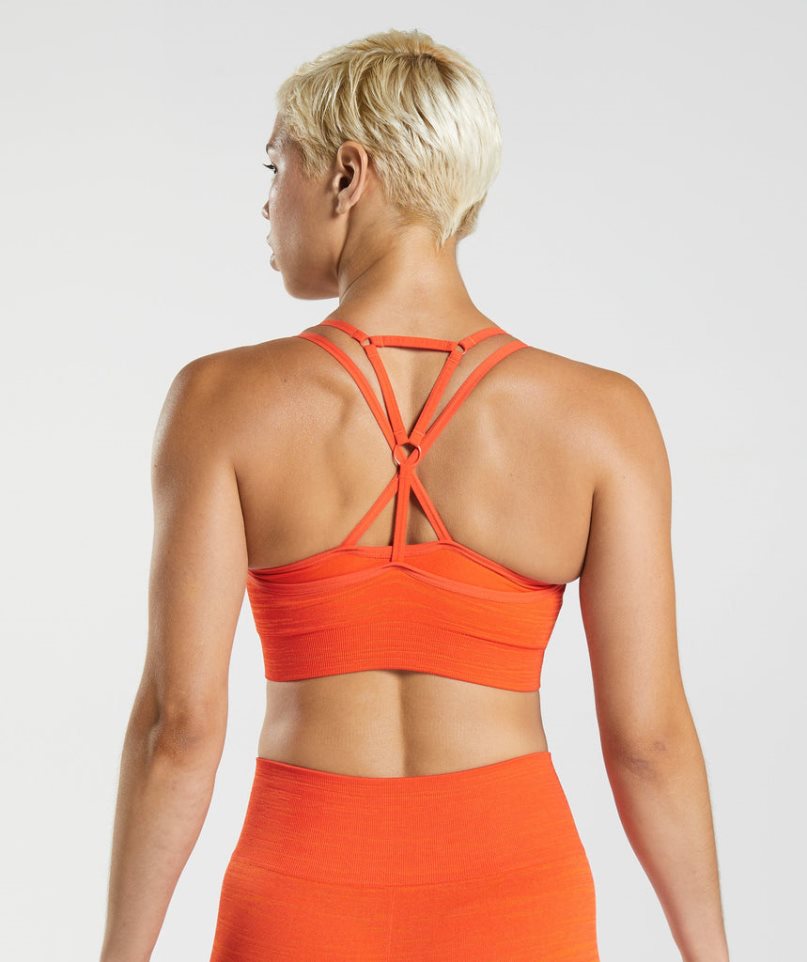 Gymshark Adapt Marl Seamless Női Sportmelltartó Narancssárga | HU-S-513