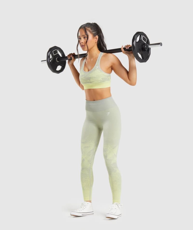Gymshark Adapt Ombre Seamless Női Leggings Menta | HU-H-890