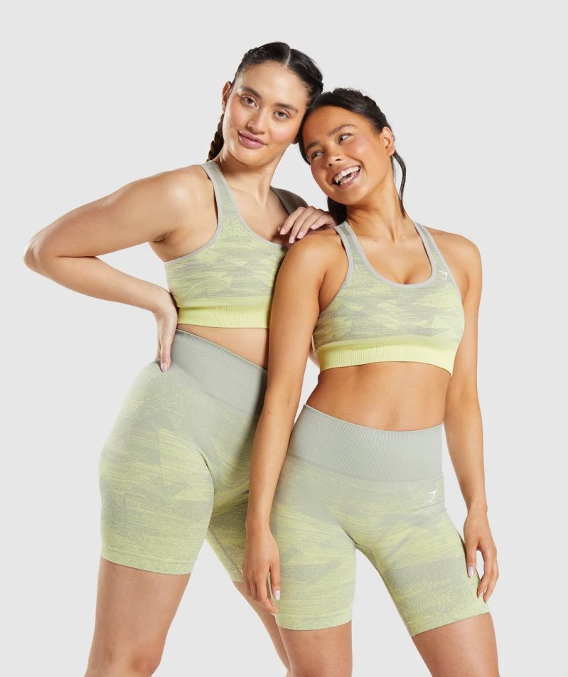 Gymshark Adapt Ombre Seamless Női Sportmelltartó Szürke | HU-N-496
