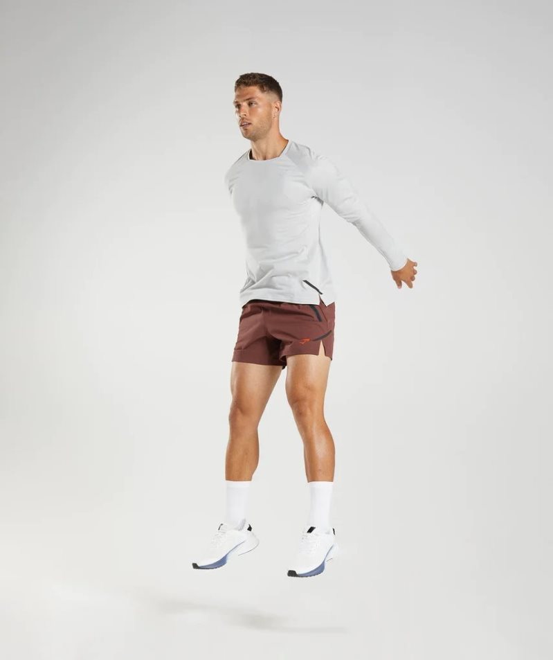 Gymshark Apex Long Sleeve Férfi Póló Világos Szürke | HU-D-153