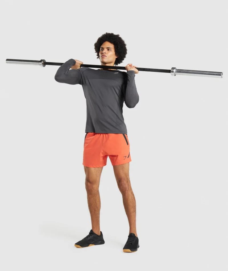 Gymshark Apex Seamless Long Sleeve Férfi Póló Sötétszürke | HU-S-502