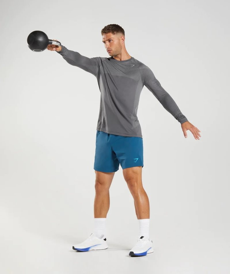 Gymshark Apex Seamless Long Sleeve Férfi Póló Szürke | HU-X-291