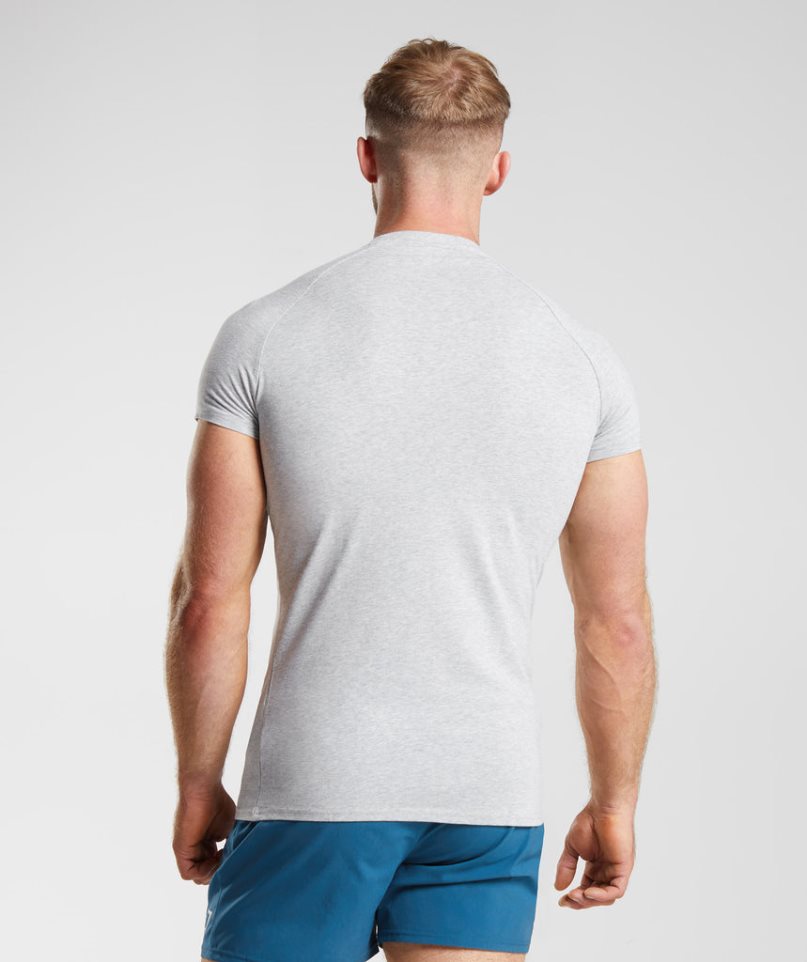 Gymshark Apollo Férfi Póló Világos Szürke | HU-K-285