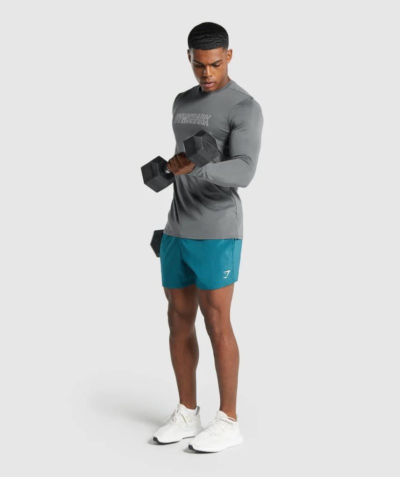 Gymshark Arrival Long Sleeve Grafika Férfi Póló Szürke | HU-L-826