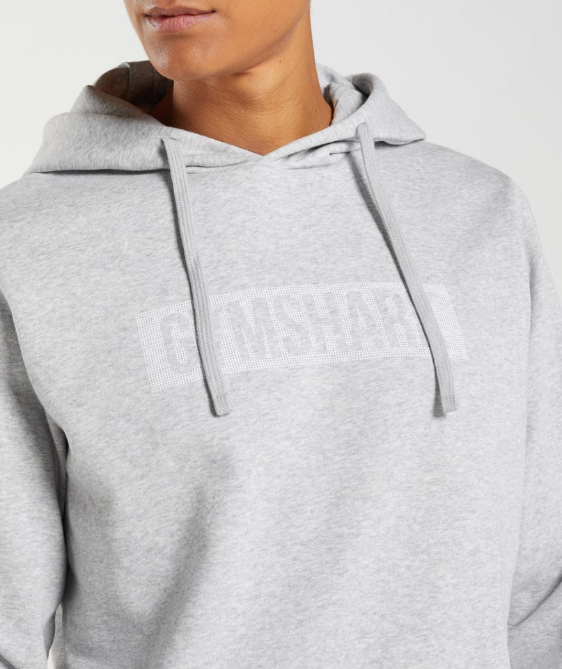 Gymshark Block Férfi Kapucnis Pulóver Világos Szürke | HU-F-369
