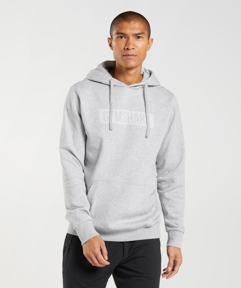 Gymshark Block Férfi Kapucnis Pulóver Világos Szürke | HU-F-369
