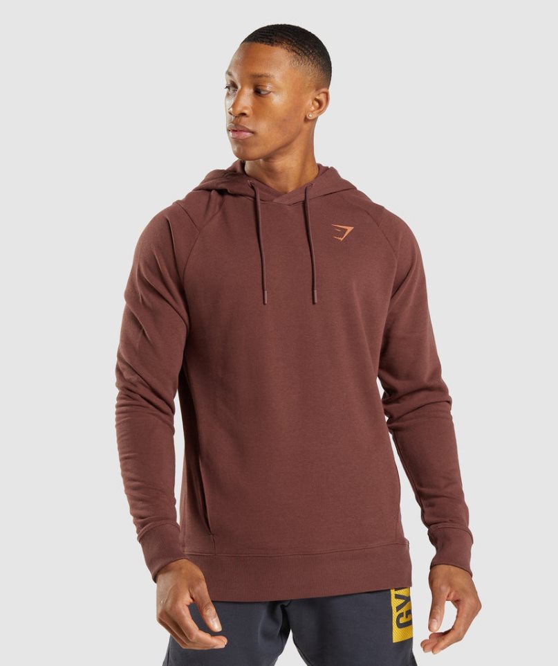 Gymshark Bold Férfi Kapucnis Pulóver Barna | HU-G-517