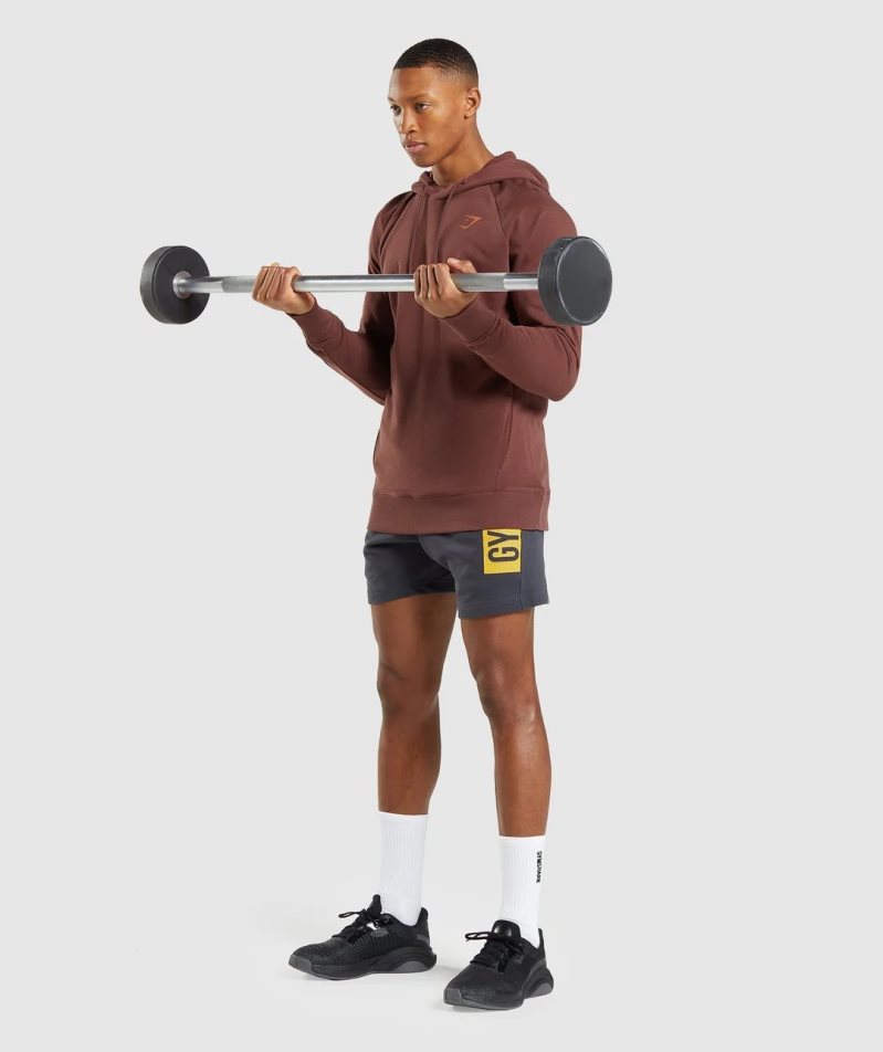 Gymshark Bold Férfi Kapucnis Pulóver Barna | HU-G-517