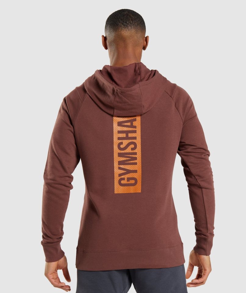 Gymshark Bold Férfi Kapucnis Pulóver Barna | HU-G-517