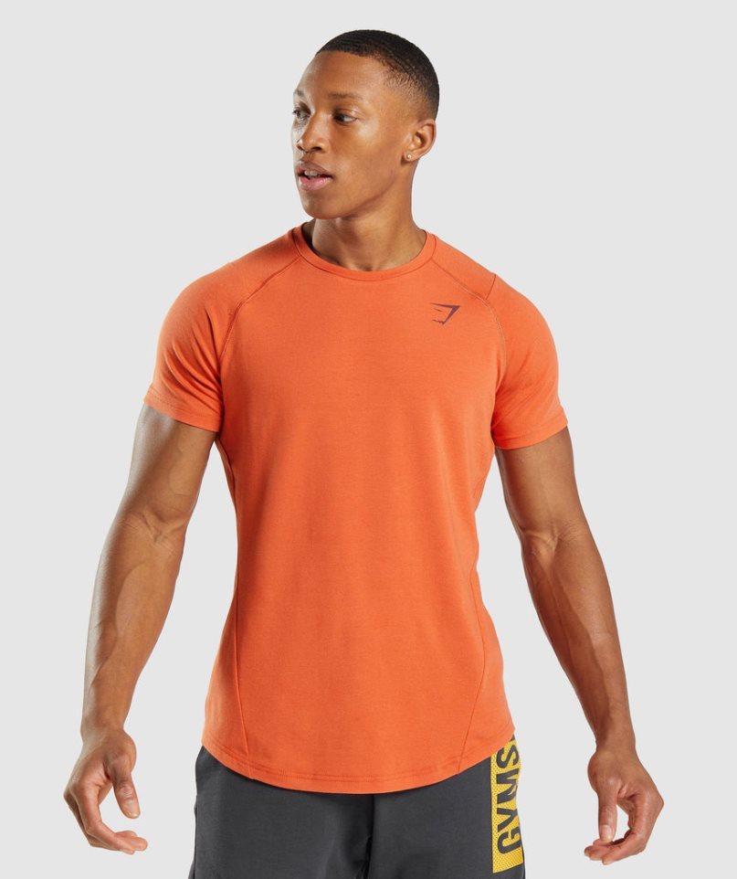 Gymshark Bold Férfi Póló Narancssárga | HU-H-306
