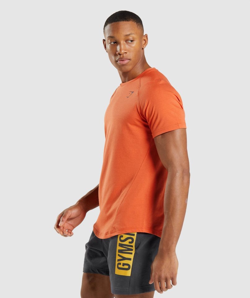 Gymshark Bold Férfi Póló Narancssárga | HU-H-306