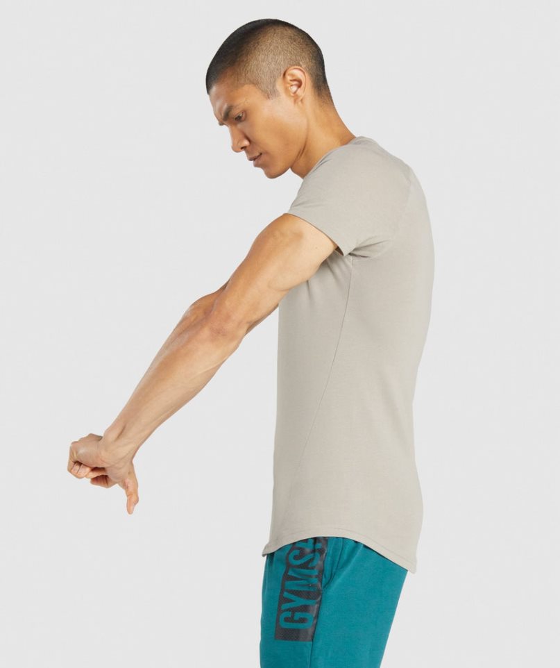 Gymshark Bold Férfi Póló Szürke | HU-Q-597
