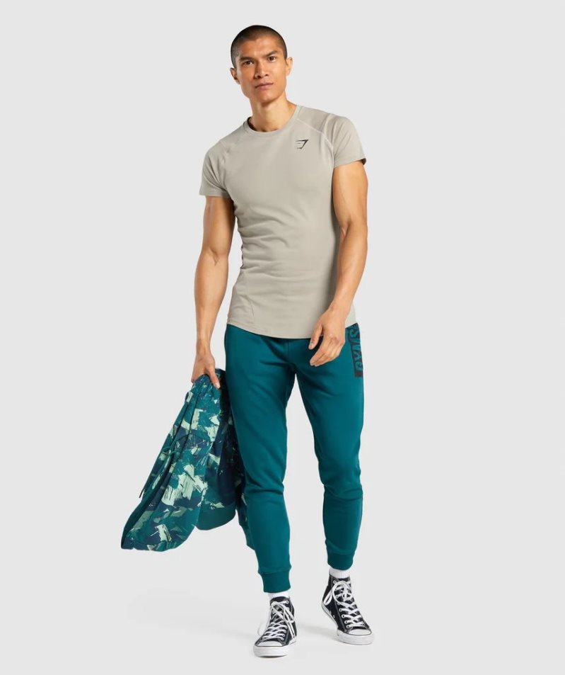 Gymshark Bold Férfi Póló Szürke | HU-Q-597