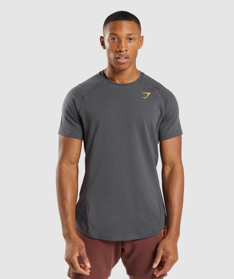 Gymshark Bold Férfi Póló Sötétszürke | HU-V-875