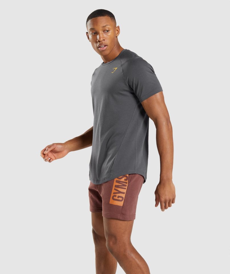 Gymshark Bold Férfi Póló Sötétszürke | HU-V-875