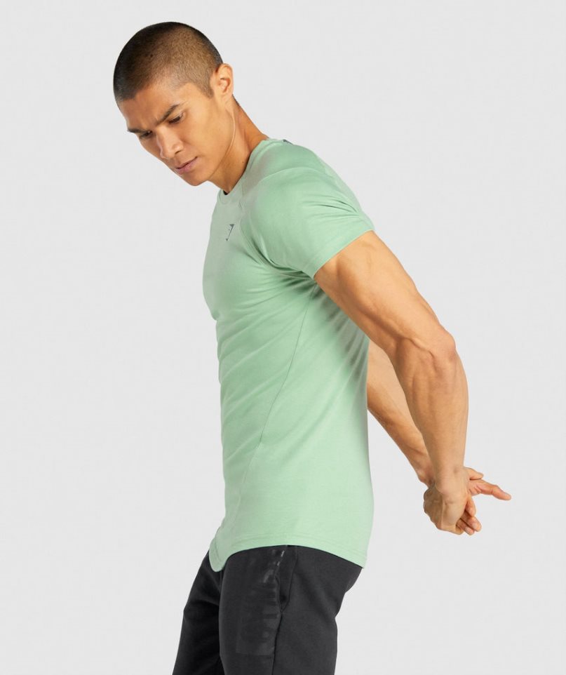 Gymshark Bold Férfi Póló Zöld | HU-S-015