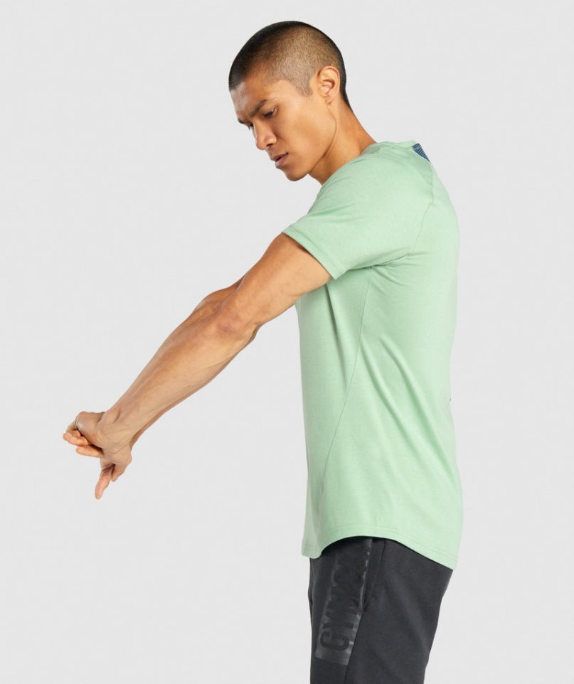 Gymshark Bold Férfi Póló Zöld | HU-T-601
