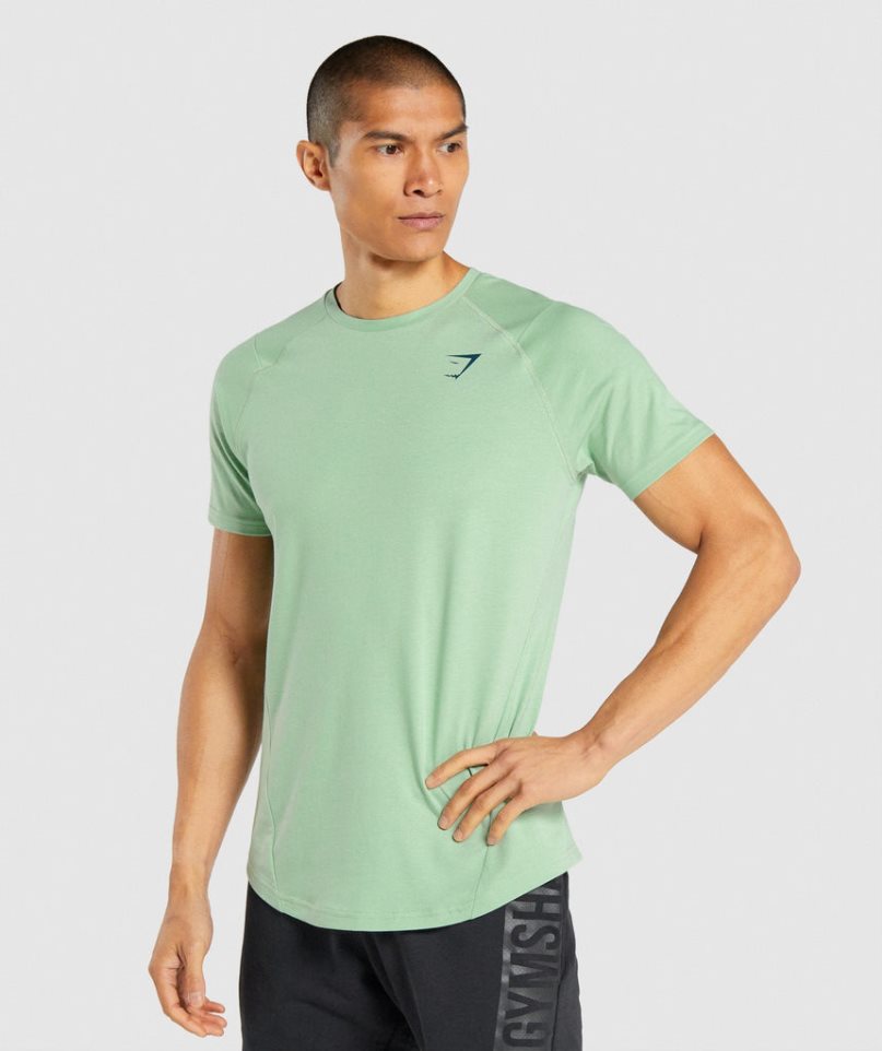 Gymshark Bold Férfi Póló Zöld | HU-T-601