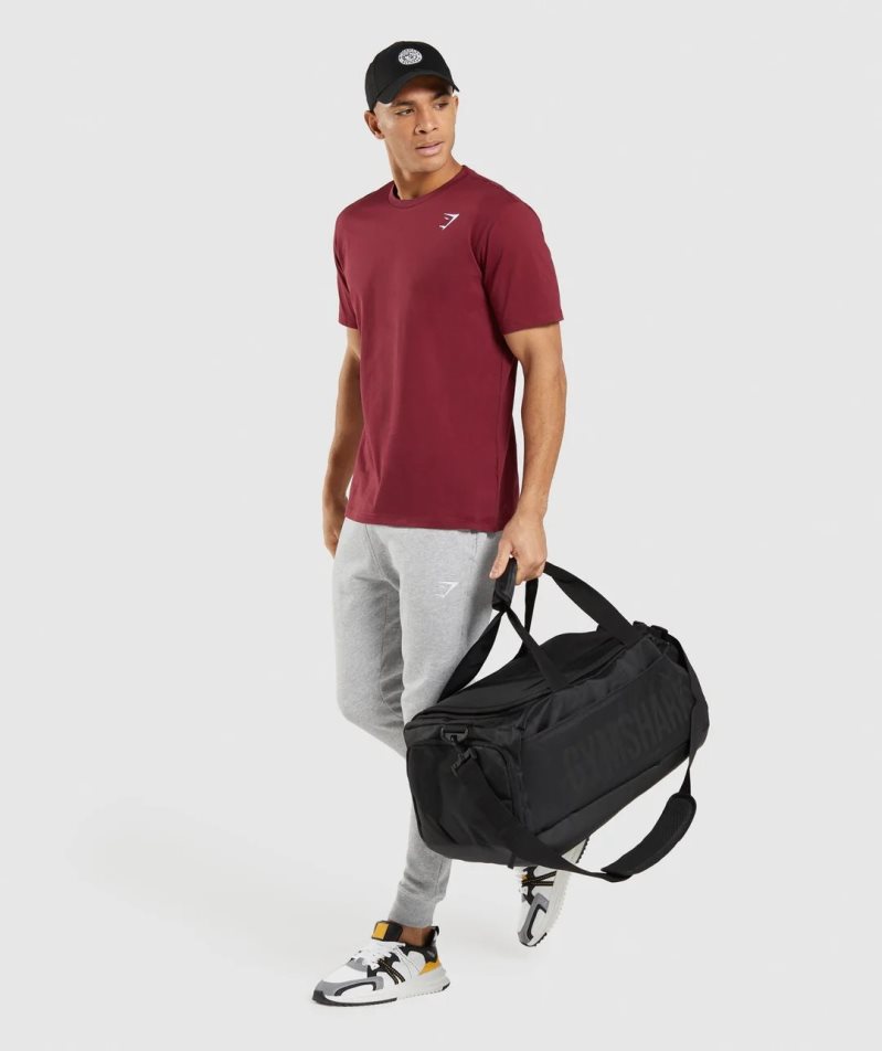 Gymshark Crest Férfi Jogger Nadrág Világos Szürke | HU-K-645