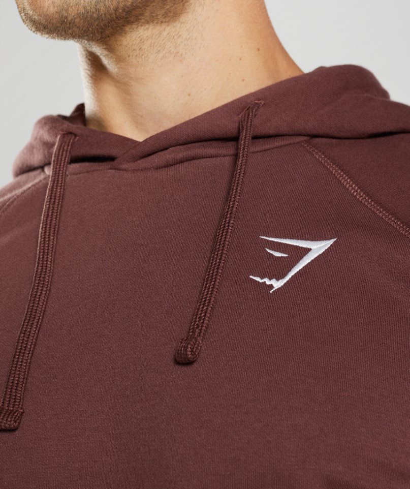 Gymshark Crest Férfi Kapucnis Pulóver Barna | HU-P-592