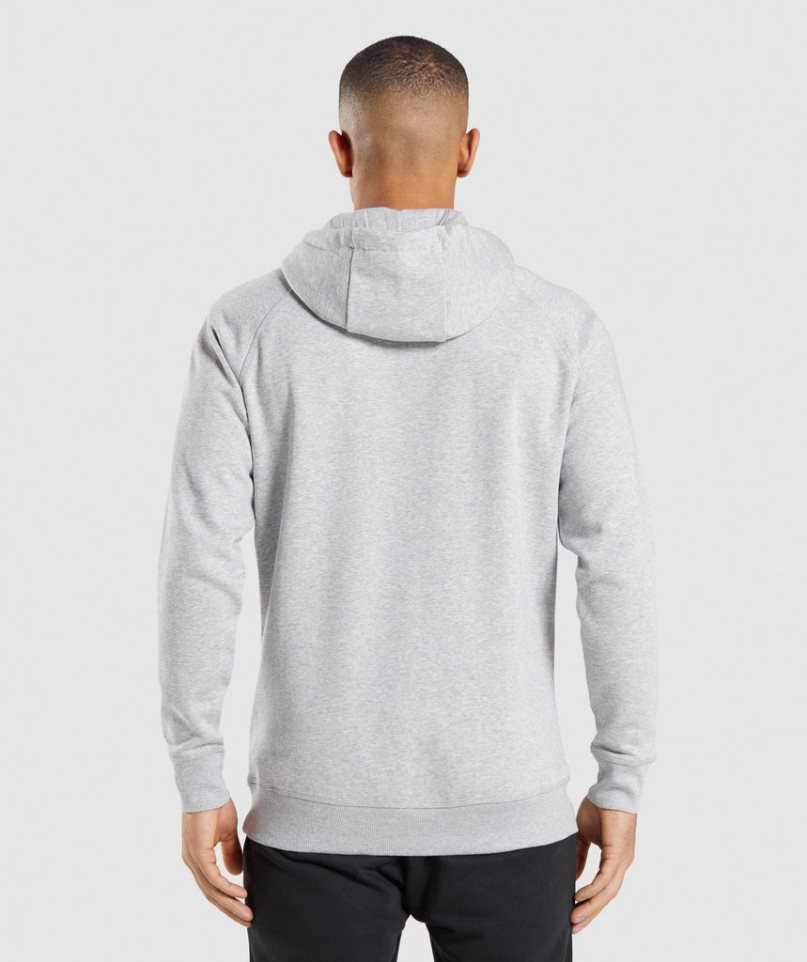 Gymshark Crest Férfi Kapucnis Pulóver Világos Szürke | HU-J-927