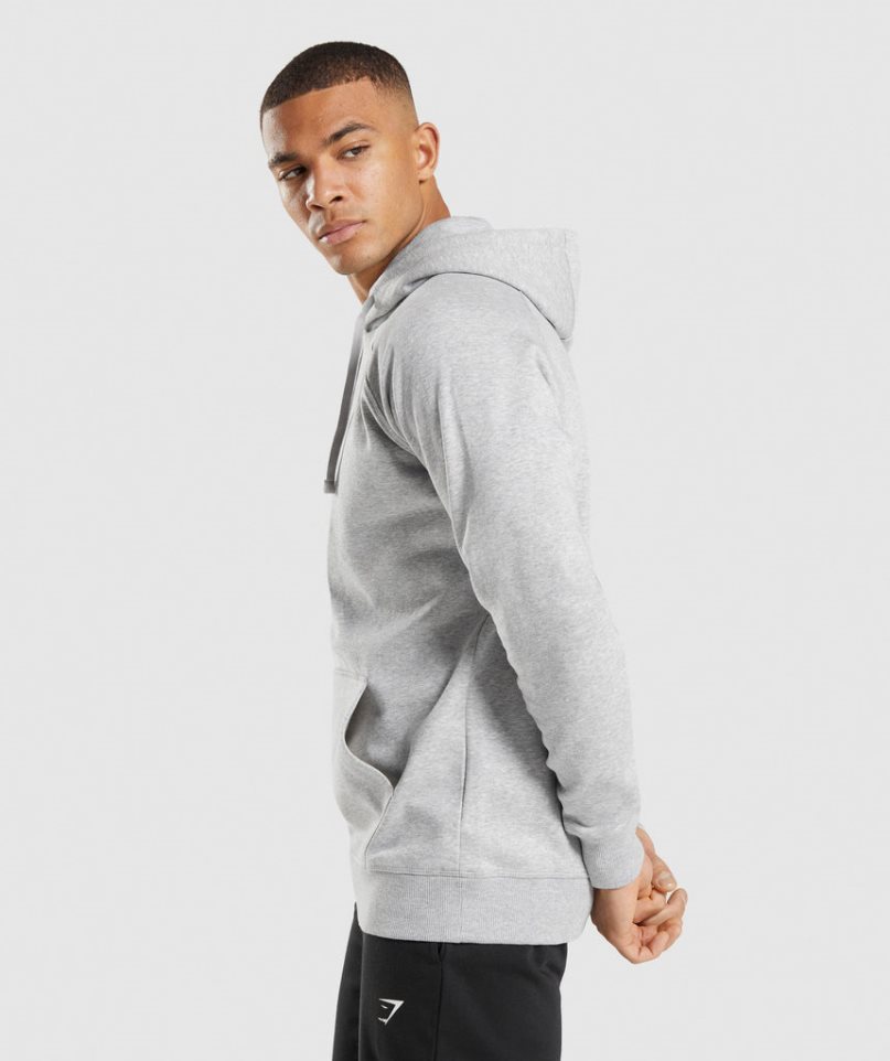Gymshark Crest Férfi Kapucnis Pulóver Világos Szürke | HU-J-927
