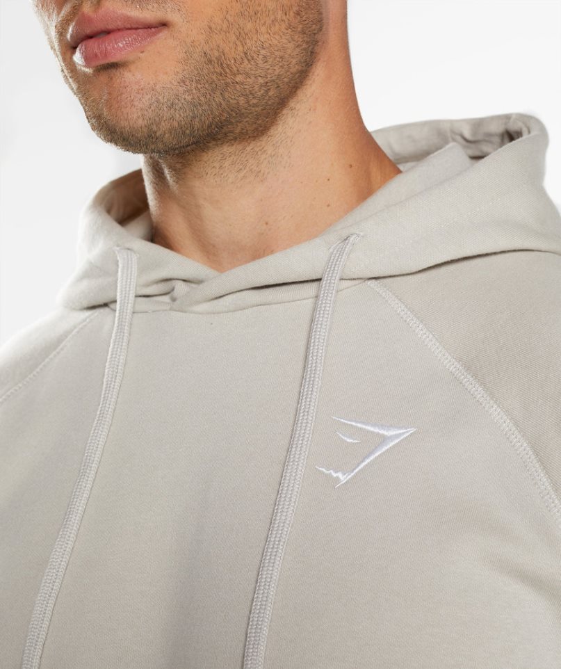 Gymshark Crest Férfi Kapucnis Pulóver Világos Szürke | HU-K-104