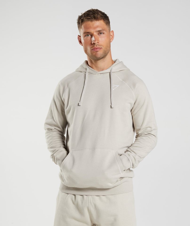 Gymshark Crest Férfi Kapucnis Pulóver Világos Szürke | HU-K-104